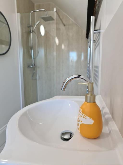 Stylish Georgian Apartment In An Ideal Location North Walsham Zewnętrze zdjęcie
